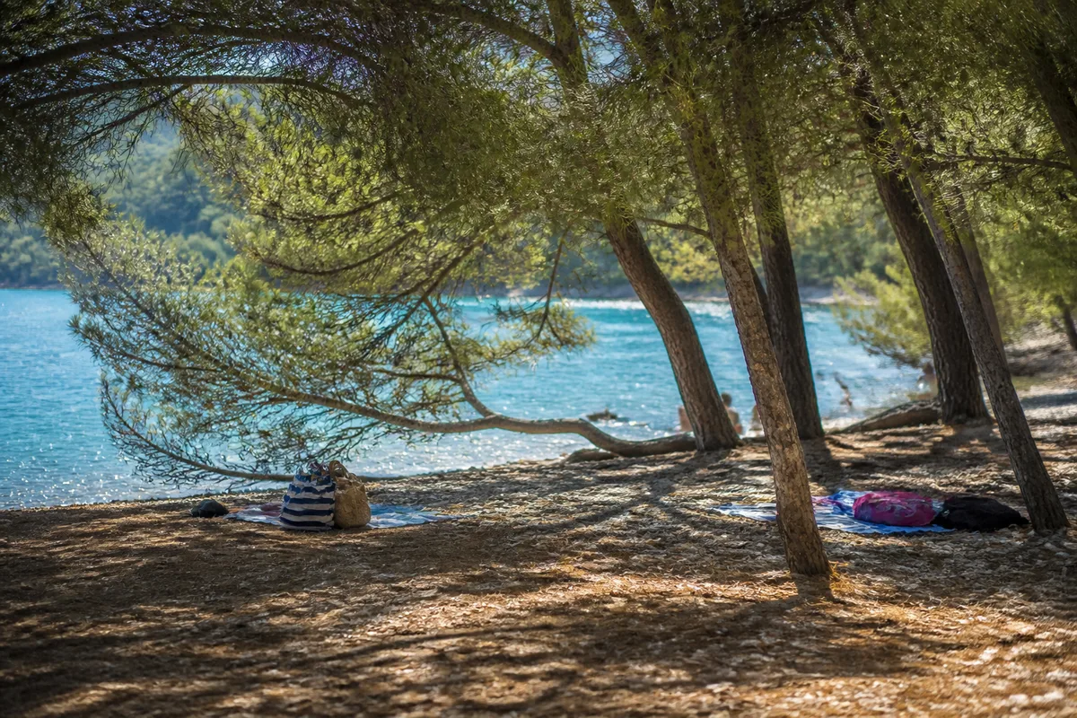 Pinède descendant jusqu au rivage avec des baigneurs installés à l ombre au bord du lac